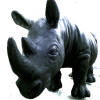 Der zum Nashorn verwandelte Insel-Besucher